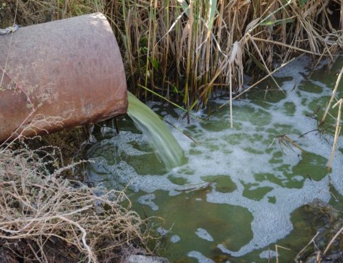 Forever Chemicals: Origins, Uses, and Remediation in Wash Water